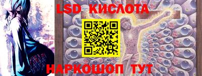 шишки Бузулук
