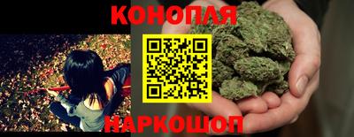 шишки Бузулук