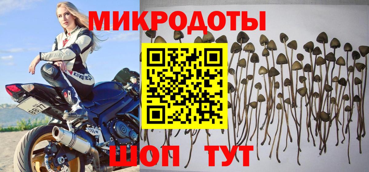 Новошахтинск  Галлюциногенные грибы мицелий  Галлюциногенные грибы прущие грибы  Вход с VPN 