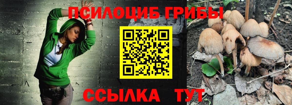 Галлюциногенные грибы Psilocybe Новошахтинск